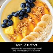 Ninja Detect™ Pro Blender