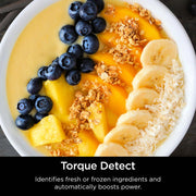 Ninja Detect™ Professional Blender and Food Processor