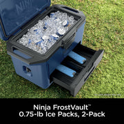 Ninja FrostVault™ 0.7lb. Ice Packs, 2-Pack