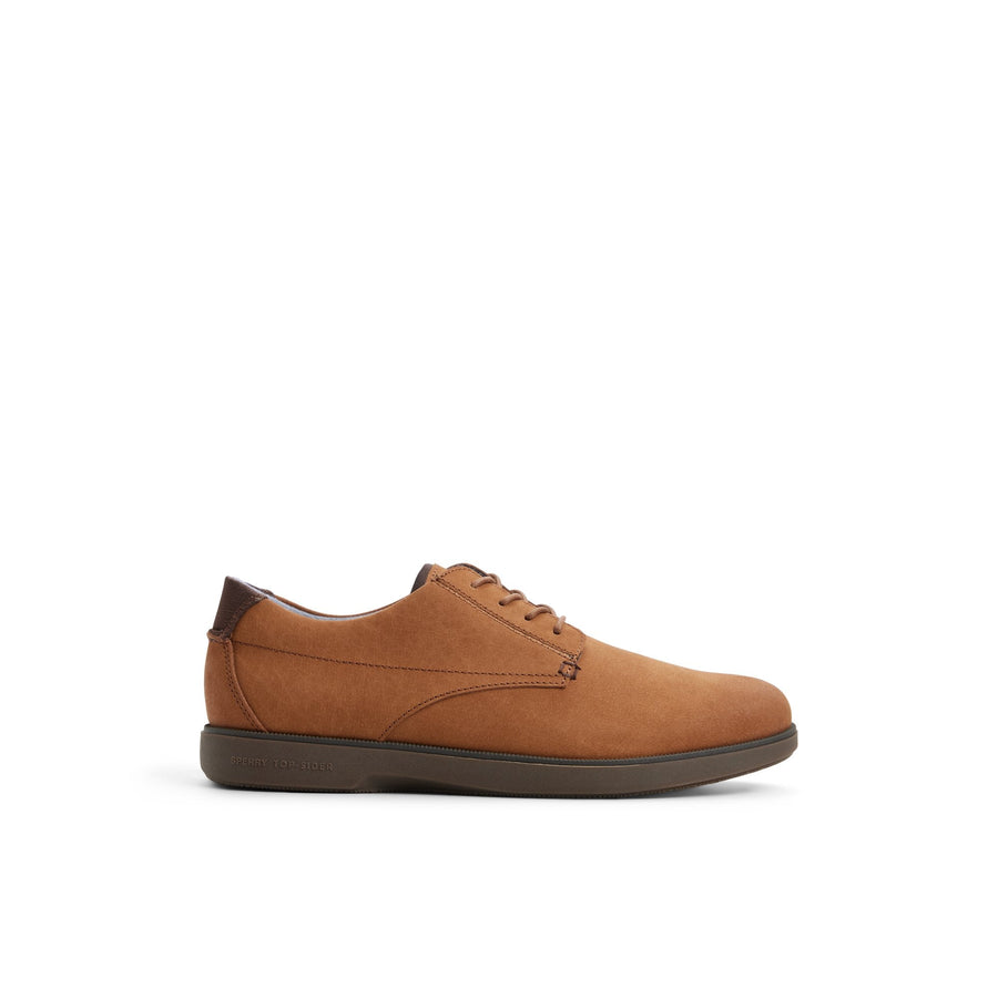 Newman Oxford II image 1